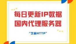 每日更新国产,聚焦最新发展动态