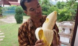 国产成人大香蕉,探索国产成人影视的崛起与魅力