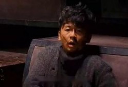 国产黄电影,揭秘中国电影市场的独特魅力与挑战