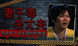 爱人bt国产,爱情与背叛的交织之地