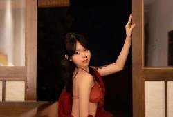 国产高清美女一级a毛片久久,揭秘毛片世界中的艺术与诱惑