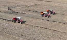 亚洲 国产 熟,国产熟品鉴之旅