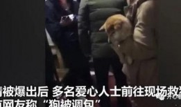 主人调教视频国产,从调教视频看国产崛起之路