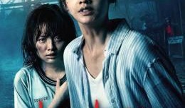 激情国产片,国产电影中的激情与梦想