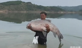 青鱼视频国产在线,国产在线影视盛宴，尽享视听盛宴