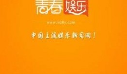 国产国内 在线,国内在线产业的崛起与发展概览