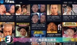 91国产网站,揭秘国内影视娱乐的多元化平台