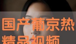 国产视频精品在线观看,在线观影盛宴