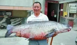 青鱼视频国产在线,国产在线影视盛宴，尽享视听盛宴