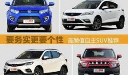 精品国产自,探索我国自主创新的辉煌成就