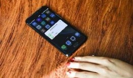 手机看片国产免费,国产免费大片一网打尽