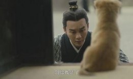 国产男人的天堂,男人的天堂，情感与激情的完美融合